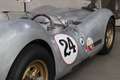 Sonstige Sonstige Lister Knobbly Jaguar Silber - thumbnail 39