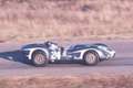 Sonstige Sonstige Lister Knobbly Jaguar Silber - thumbnail 41