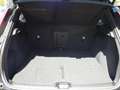 Volvo XC40 Single Motor Extended Range Plus Dark (EX40 Klima Schwarz - thumbnail 14