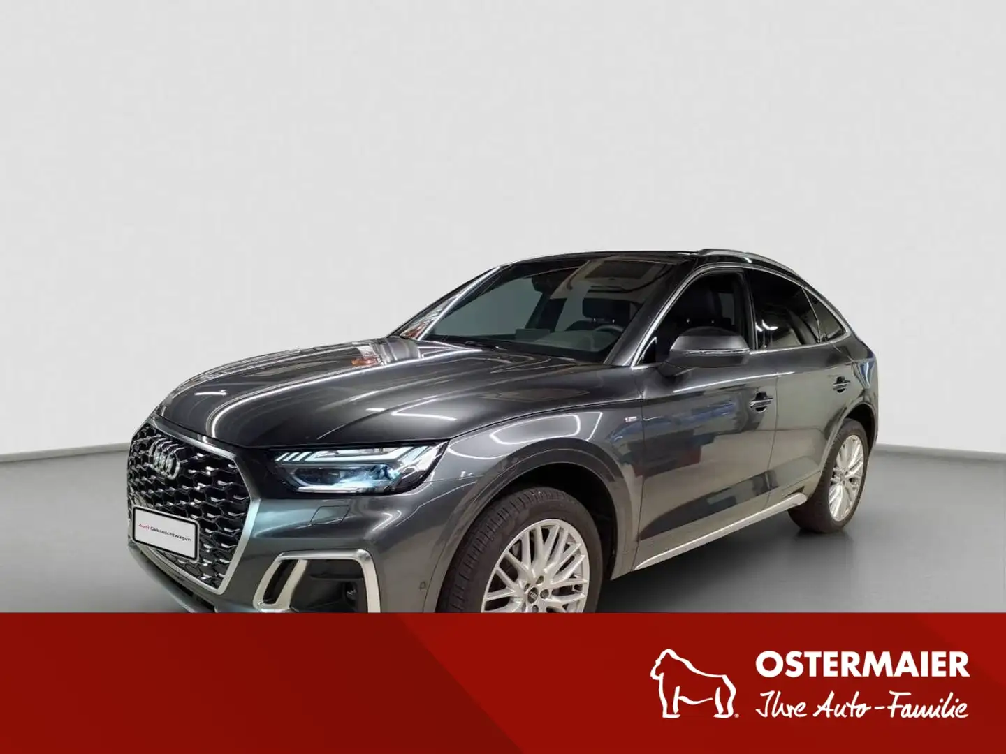 Audi Q5 Sportback S-LINE BUSINESS 40 TFSI QUATTRO AHK.STAN Grau - 1