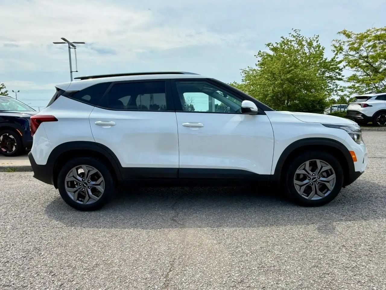 Kia Seltos fotografie Kia Seltos