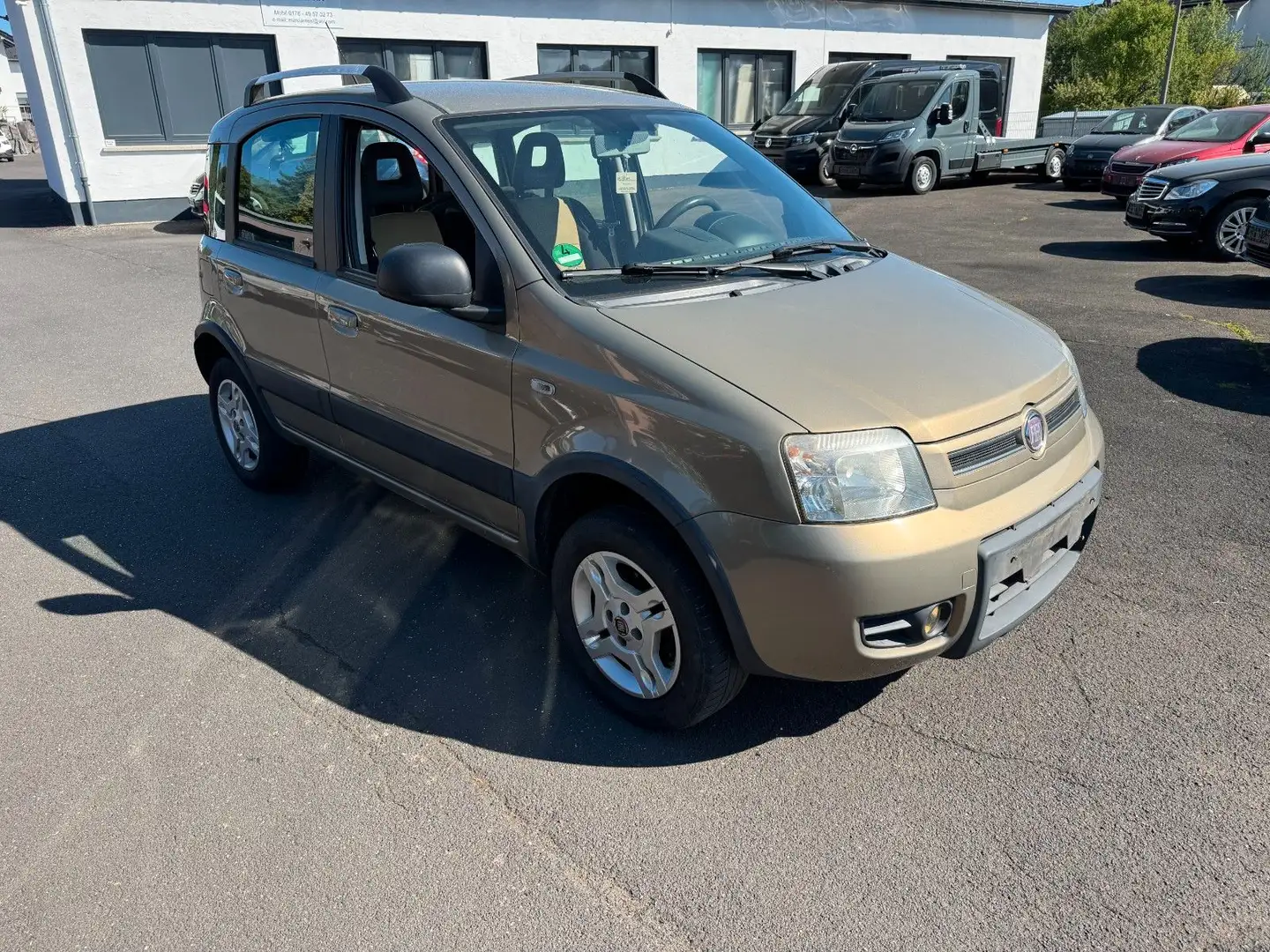 Fiat Panda 1.2 8V Climbing  4X4 Beige - 2