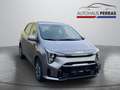 Kia Picanto PE2 1.0 GDI MT Vision, Sitzheizung LM+PDC+SpurH Grau - thumbnail 7