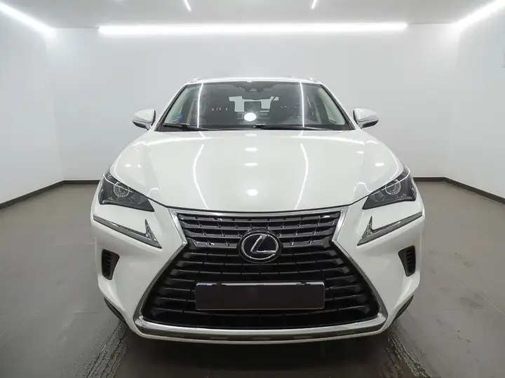 Lexus NX 300h BUSINESS 2WD 2019, foto 2