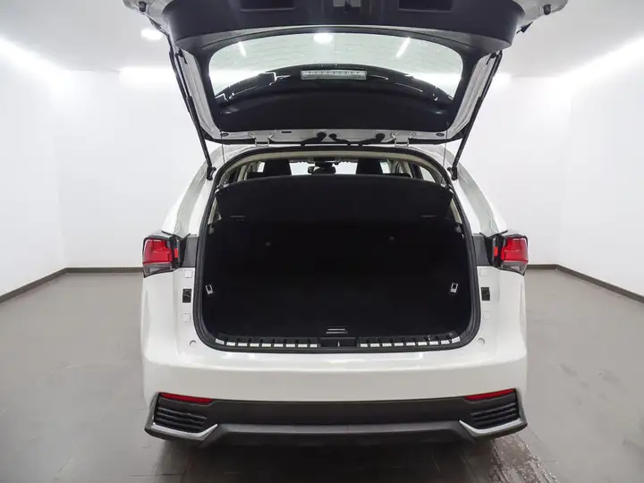 Lexus NX 300h BUSINESS 2WD 2019, foto 12