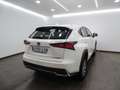 Lexus NX 300 300h Business 2WD - thumbnail 5