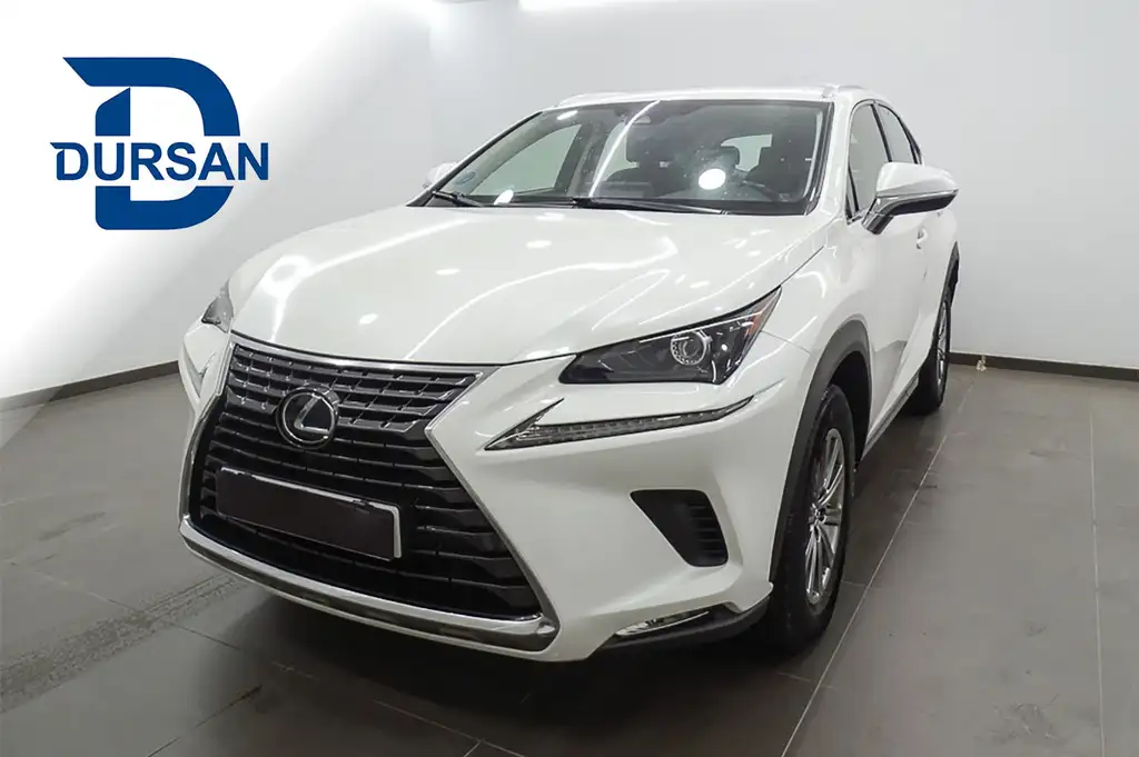 Lexus NX 300 2019 из Европы — купить под ключ