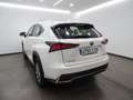 Lexus NX 300 300h Business 2WD - thumbnail 4