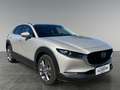 Mazda CX-30 CX-30 e-Skyactive G140 Exclusive-Line Aut. Grau - thumbnail 7