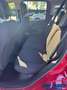 Fiat Panda Cross III 1.0 70Cv Mild Hybrid Cross Plus 4x2 Rouge - thumbnail 13
