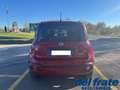 Fiat Panda Cross III 1.0 70Cv Mild Hybrid Cross Plus 4x2 Rouge - thumbnail 4