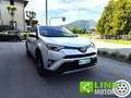 Toyota RAV 4 2.0 D-4D 2WD Style GARANZIA INCLUSA Grigio - thumbnail 3