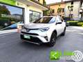 Toyota RAV 4 2.0 D-4D 2WD Style GARANZIA INCLUSA Grigio - thumbnail 1