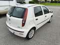 Fiat Punto Punto 5p 1.2 natural power Unico Propr. WRC AUTO Blanc - thumbnail 9