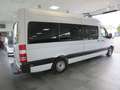 Mercedes-Benz Sprinter 316 CDI * 8-SITZER+KLIMA+EURO 6 * Weiß - thumbnail 3