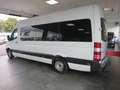 Mercedes-Benz Sprinter 316 CDI * 8-SITZER+KLIMA+EURO 6 * Weiß - thumbnail 5