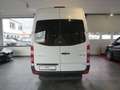 Mercedes-Benz Sprinter 316 CDI * 8-SITZER+KLIMA+EURO 6 * Weiß - thumbnail 6