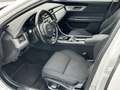 Jaguar XF 20d Pure Limousine Aut. Navi+Led+Ahk+Shz Blanc - thumbnail 8
