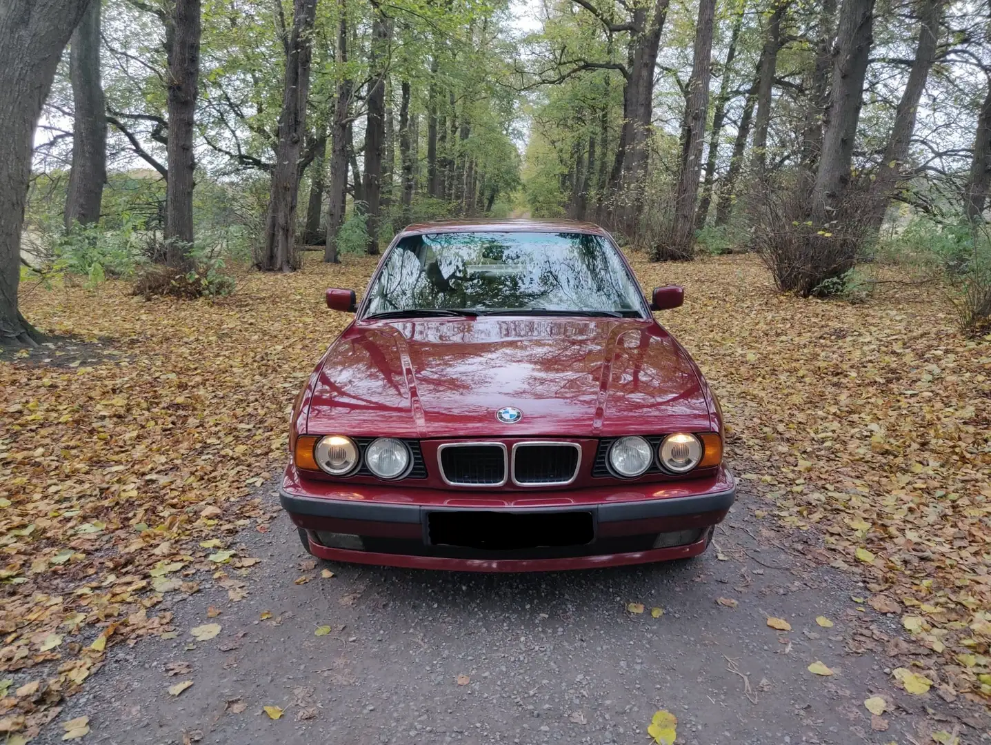 BMW 518 518i Rouge - 2