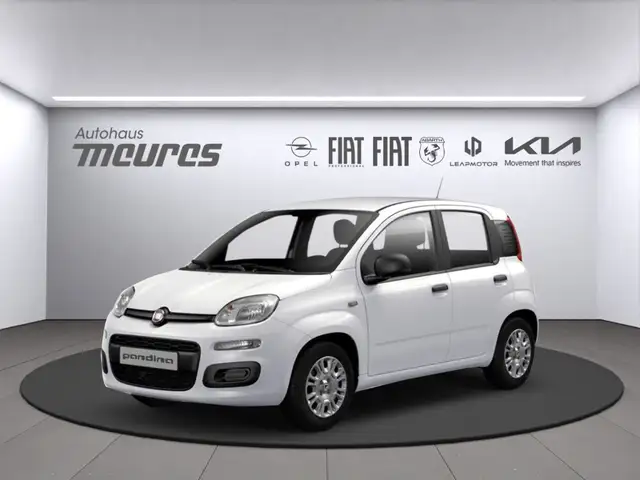 Fiat New Panda Icon, Parksensoren hinten & Tempomat, Hybrid, 65 P