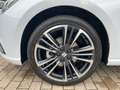 SEAT Ibiza 1.0 TSI DSG Xcellence Navi Pano LED Weiß - thumbnail 13
