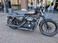 Harley-Davidson XL 883 883N IRON Noir - thumbnail 12