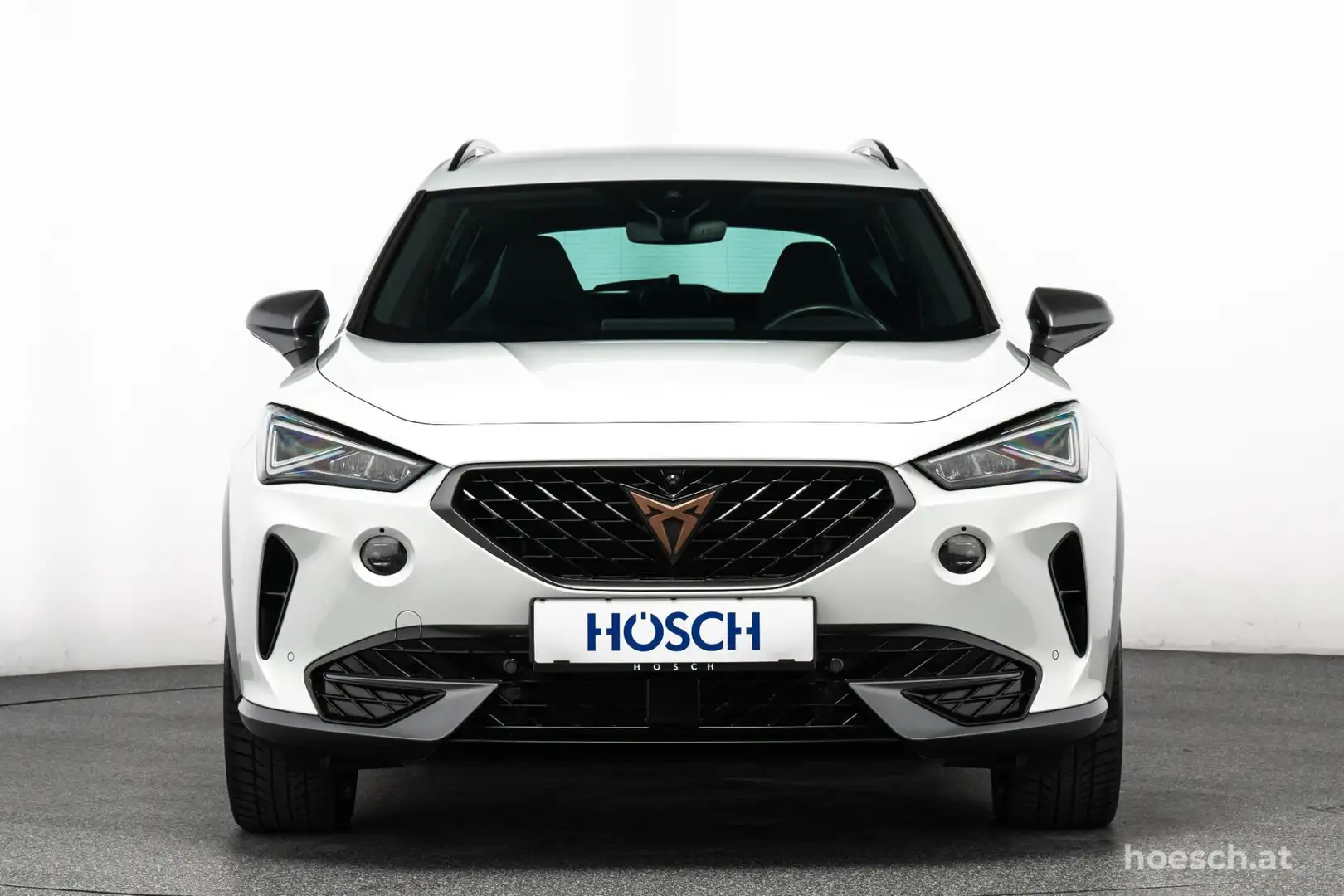 CUPRA Formentor VZ e-HYBRID TOP-EXTRAS -53% Weiß - 2