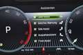 Skoda Fabia 1.5 TSI Top Selection APP Kamera Garantie 2030 Blau - thumbnail 22