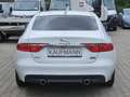 Jaguar XF AWD Automatik Alb - thumbnail 5