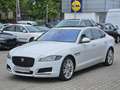 Jaguar XF AWD Automatik Alb - thumbnail 1