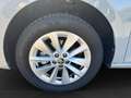 Skoda Scala Selection 1,0 TSI RKF,AHK Gris - thumbnail 18
