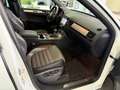 Volkswagen Touareg 3.0 TDI V6*R-LINE*AUT*PANO*BI-XN*DYN*360 Weiß - thumbnail 25