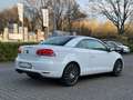 Volkswagen Eos Leder* Xenon* Navi* 2-Zonen-Klima* Weiß - thumbnail 10