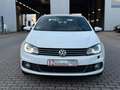 Volkswagen Eos Leder* Xenon* Navi* 2-Zonen-Klima* Weiß - thumbnail 4