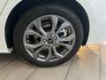 Ford Focus Turnier 1.0 EcoBoost EU6d ST-Line Wit - thumbnail 5