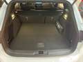 Ford Focus Turnier 1.0 EcoBoost EU6d ST-Line Wit - thumbnail 4