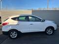 Hyundai iX35 Premium AWD Automatic Bianco - thumbnail 6