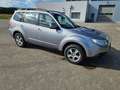 Subaru Forester Forester 2,0D XS Comfort Comfort Grau - thumbnail 5