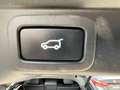 Land Rover Range Rover Sport HSE-Dynamic Panorama ACC Schwarz - thumbnail 15