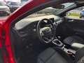 Ford Focus 1,5 EcoBlue ST-Line Rot - thumbnail 8