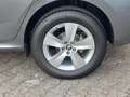 Skoda Kamiq 1.0 TSI Selection Kamera 5 Jahre Garantie Grau - thumbnail 5