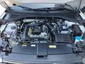 Volkswagen T-Roc 4Me TSI Wit - thumbnail 13