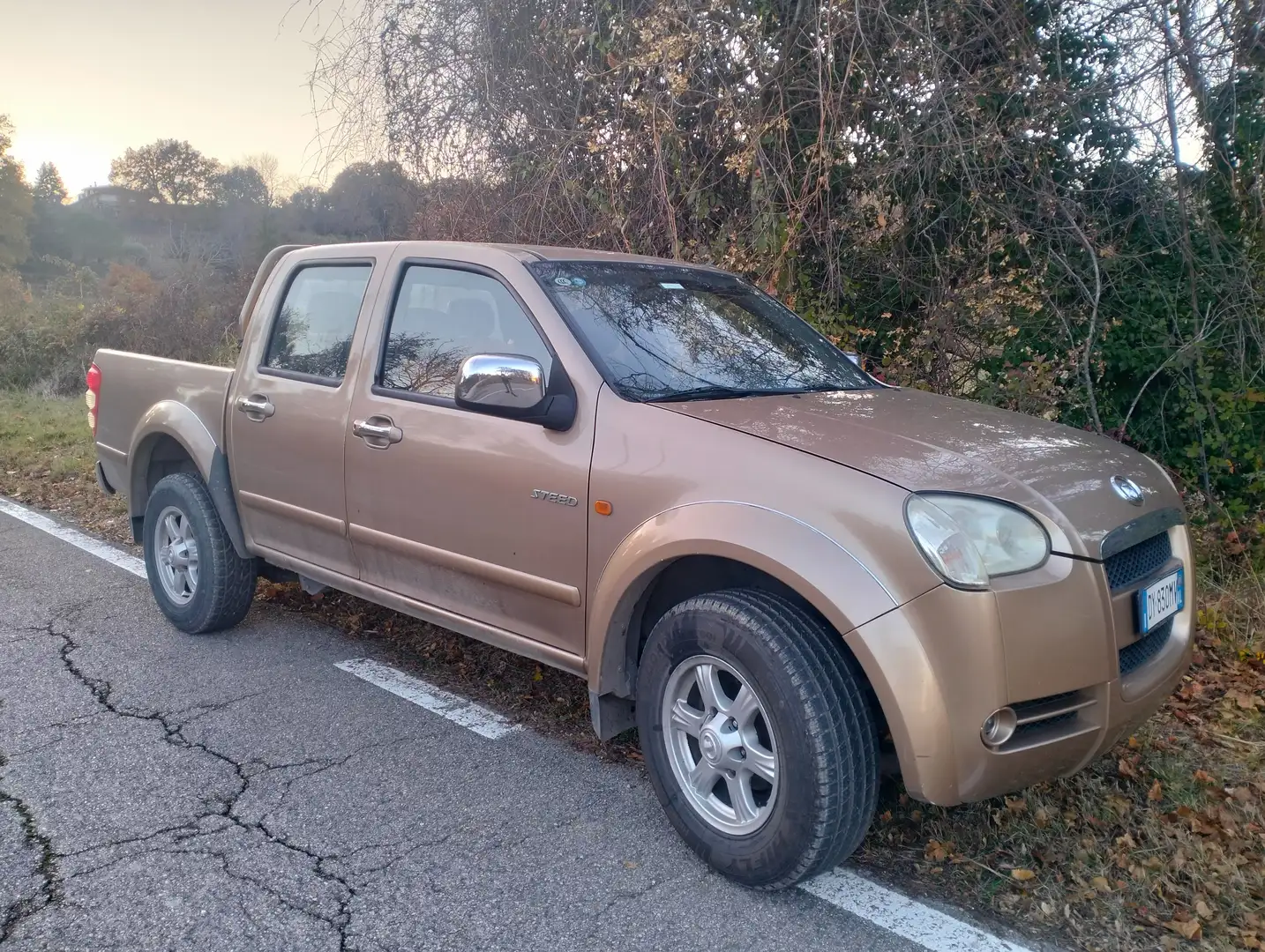 Great Wall Steed Steed 2.4 DC Luxury Gpl 4x2 Beige - 2