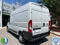 Fiat Ducato L2 H2 3.0 136CV Weiß - thumbnail 7