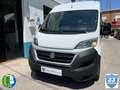 Fiat Ducato L2 H2 3.0 136CV Weiß - thumbnail 3