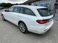 Mercedes-Benz E 350 d Business Exclusive Widesreen Leder Kamera Weiß - thumbnail 6