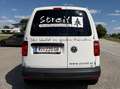 Volkswagen Caddy Caddy Kombi Edition 35 2,0 TDI Edition 35 Weiß - thumbnail 7