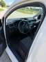 Volkswagen Caddy Caddy Kombi Edition 35 2,0 TDI Edition 35 Weiß - thumbnail 10