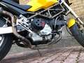 Ducati Monster 900 Frizione a secco*Inserti carbon Look*Cupolino* Jaune - thumbnail 6