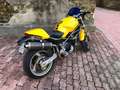 Ducati Monster 900 Frizione a secco*Inserti carbon Look*Cupolino* Yellow - thumbnail 4